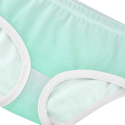 Joisal Magnolia Aquamarine Gradient Ombre Little Girl Panties Girls Underwear Toddler Cotton Fun Briefs Kids Undies 2t4