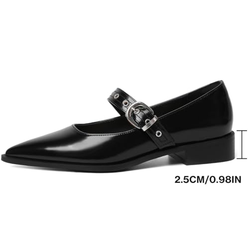 Mary Jane Shoes Women Chunky Low Heels Buckle Strap Pumps Womens Closed Pointed Toe Ballet Flats Causal Daily Dress Shoes2