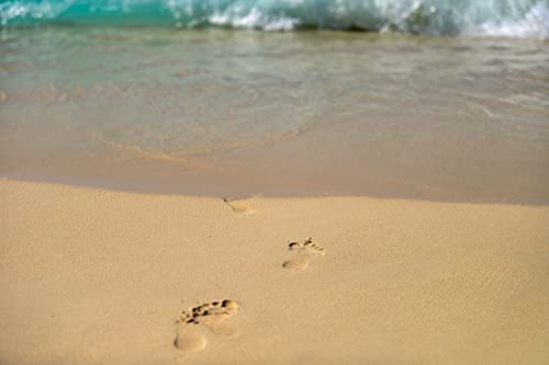 Vliestapete Fussspuren im Sand 200 x 300 cm Fototapete Spuren ins Meer blau sandfarben Abwaschbare Motiv Tapete lichtbeständig Motivtapete XXL Wandbild