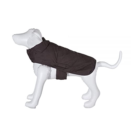 Amazon | PENDLETON ペンドルトン DOG COAT NATIONAL PARK 犬 ドッグ