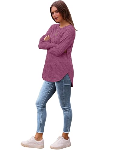 Image of Saloogoe Long Sleeve Shirts for Women 2025 Fall Clothes Tunic Tops Loose Fit Dressy Crewneck Pullover Sweaters Curved Hem