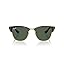 Havana/Dark Green