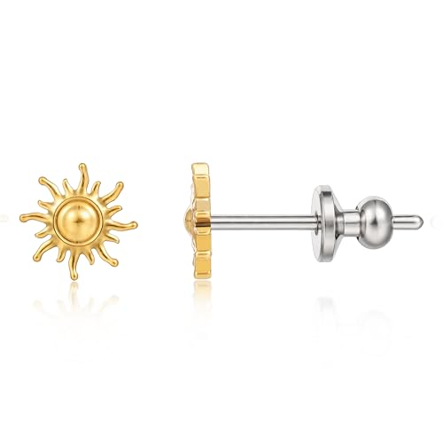 Limerencia Implant Grade Pure Titanium Studs, F136 Hypoallergenic G23 Small Dainty Cubic Zirconia Earrings for Women's Sensitive Ears