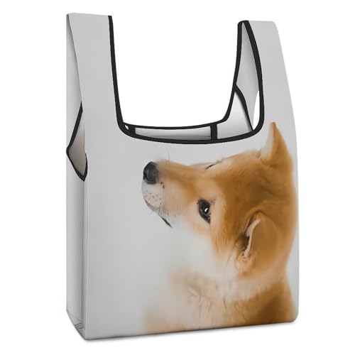 [NNEFC.] Č   GRobO e 傫 ܏ RrjobO   [ȒP VbsOobO hf y v ϋv gѕ֗ 􂦂 JԂgp