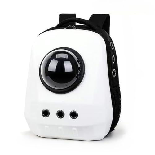 ybgL[obO ^ LbN ω׏d8Kg L[obO FD JvZ LX y ybgobO ^p obO LpobNpbN ybgbNTbN (zCg)