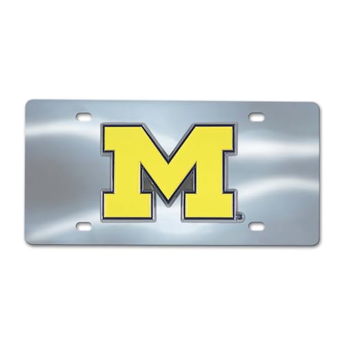 Plaque d'immatriculation durable Michigan Wolverines FANMATS anti-rouille