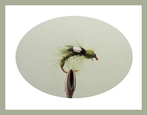 Set Di 40 Mosche Da Pesca A Mosca, Esche Artificiali Con Fly Box