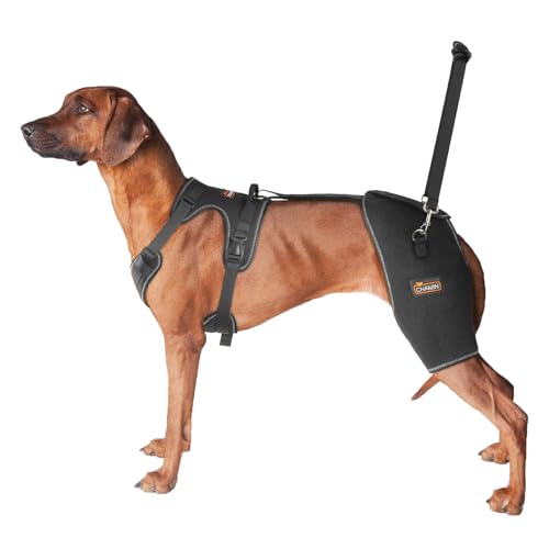 CHAMIN Dog Hip Brace with Back Handheld Design, Support for Hip Dysplasia, Arthritis, Back Leg limping, Reduce Hip Pain & Accelerated Recovery After Surgery etc(Large)