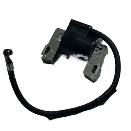Bobina de encendido 450 para modelos de motor 09T502-0134-H1, 09T502-2237-H1 y 09T502-2229-H450 3