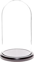 Algopix Similar Product 9 - Plymor 55 x 10 Glass Display Dome