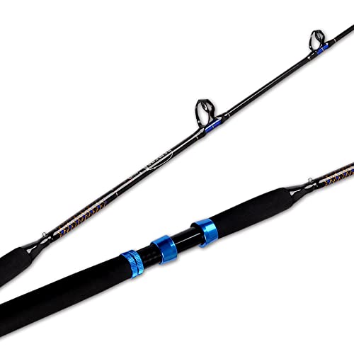 Find The Best Rod For Bottom Fishing Reviews & Comparison Katynel