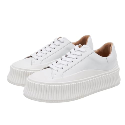 [JUI3N] y Xj[J[ tbgV[Y Xb| fB[X EhgD [Jbg [XAbv Vv  r JWA EH[LO X|[c ₷ 24.5cm Ȃ zCg d ʊw ʋ 풅