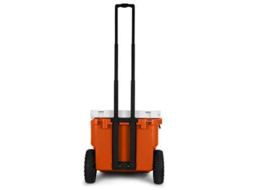 ☆送料無料 ROVR PRODUCTS ローバー プロダク シーグラス 1844 Amazon | [ローバー] クーラーボックス IC25 7RVIC25CR レッド