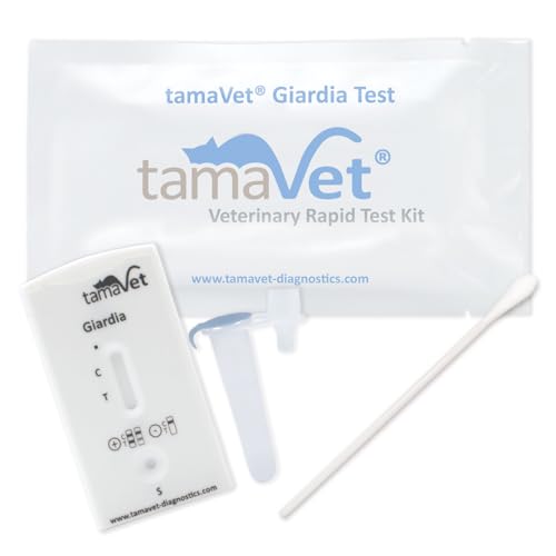 tamaVet 2X Giardien Schnelltest Hund & Katze - Sofortige Gewissheit über die Gesundheit Ihres Tieres bei Durchfall und Darmparasiten - Zum Nachweis von Giardia Antigenen in Tierkot