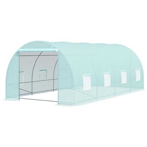 All-Season Storm-Ready Walk-in Greenhouse, 20FT x 10FT Garden Warm House