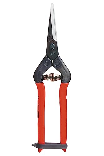 Tijeras profesionales para jardinería CHIKAMASA T-55C miniatura 1
