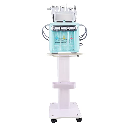 LYNICESHOP Beauty Salon Spa Utility Cart, ABS Material, White, 2 Tier, 14