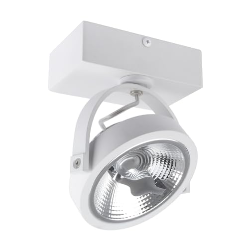 LEDKIA LIGHTING Faretto LED 15W CREE da Superficie Orientabile AR111 Regolabile Bianco 4000K Bianco Naturale