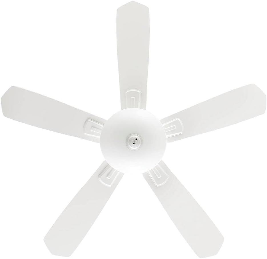 Wellston II 44 in. Indoor LED Matte White Dry Rated Downrod Ceiling Fan with Light Kit and 5 Reversible Blades