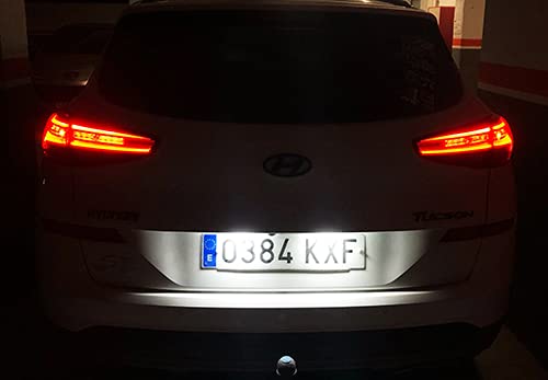 RZG 2x Luci LED per Targa Bianche Canbus per i40 4D VF Tucson TL Sportage QL ProCeed CD Soul SK3 Stonic