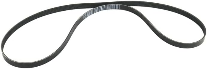 Serpentine Belt