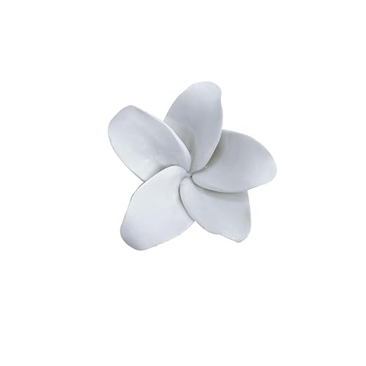 Frangipani, 2.76" Ceramic Flower Wall Art, Artificial Flower Wall Sculpture,Handcrafted 3D Hanging Porcelain Flowers ,3D Wall Hanging Decor ,Porcelain Flower Wall Décor for Home,Hallway,Kitchen,Office (White)
