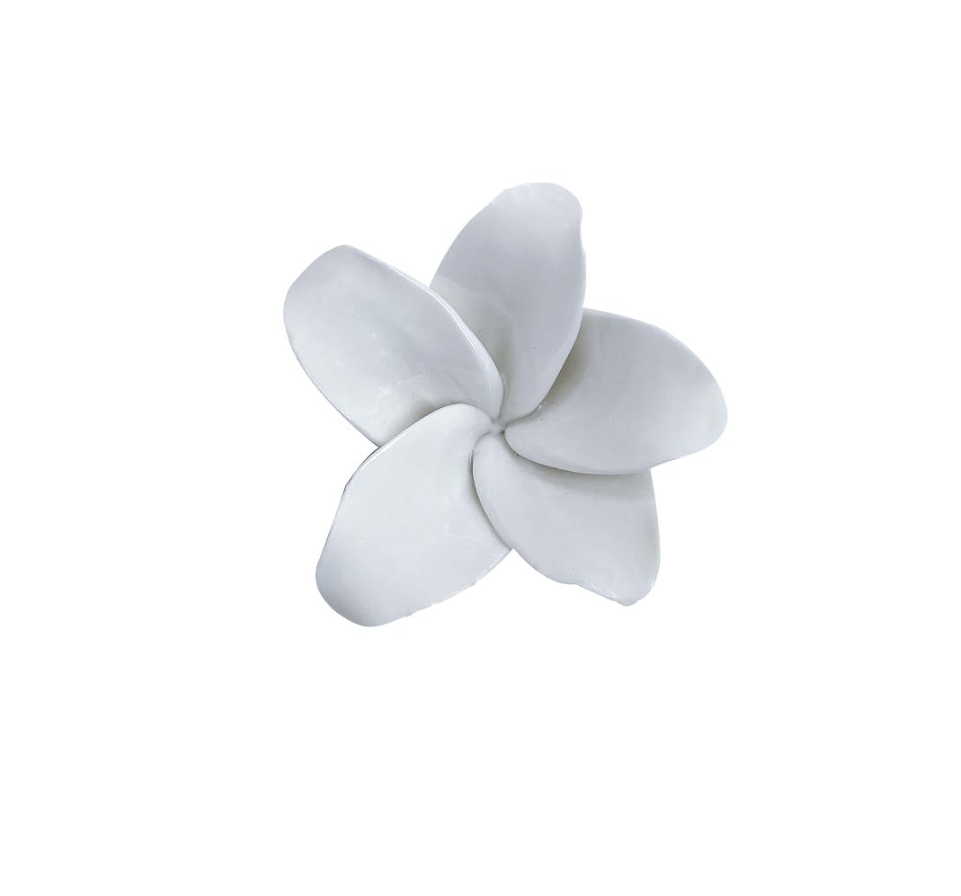 Amerry White,Frangipani Frangipani, 2.76" Ceramic Flower Wall Art, Artificial Flower Wall Sculpture，Handcrafted 3D Hanging Porcelain Flowers ,3D Wall Hanging Decor ,Porcelain Flower Wall Décor For Home，Hallway，Kitchen，Office