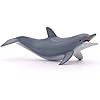 Papo - Realistic Dolphin Figure - Ages 3+ Marine Life Collection - Educational Play Ocean Exploration - Gift Idea Toy for Girls and Boys