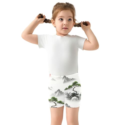 Girls Biker Shorts Toddlers Cotton Shorts Under Dress Cartoon 4t Children Traditional Landscape Mountain3