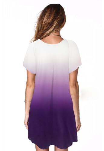 Image of Alaster Women's Casual Summer T Shirt Dress Loose Short Sleeve Tunic Dress with Pocket for Women
