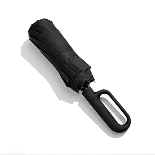 Fe Li Hua Windproof Umbrella Compact Reverse Folding with Carabiner Handle UV & Rain Protection Travel Umbrella for Women Men Daily Commute
