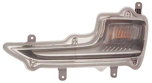 ACK For Chevy Volt 11-15 Signal Light Driver Side CAPA | DOT Certified 22810493 | GM2530142C