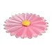 Charles Viancin - Couvercle Daisy en Silicone - 20 cm - Couvercle Hermétique pour Stocker et Cuisiner vos Aliments - Sans BPA - Compatible Four, Micro-Ondes, Congélateur, Cuisinière et Lave-Vaisselle
