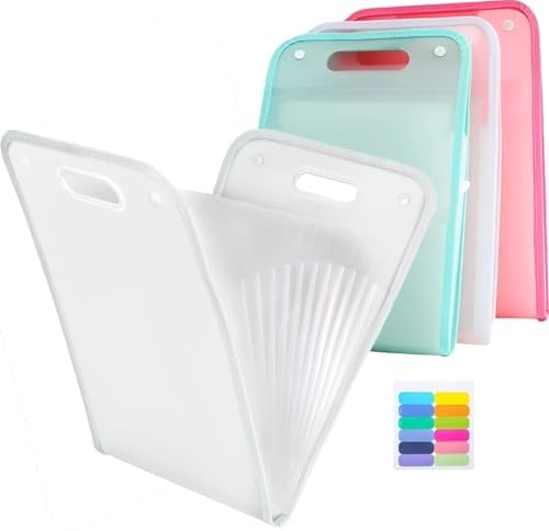 Pasta Organizadora A4 12 Divis...