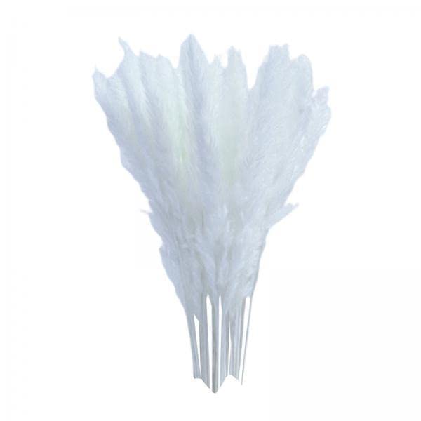 MERISHOPP 3x15x Dried Pampas Grass Phragmites Reed Flower Bunch Home Wedding Decor Gift White|Home & Garden|Home D?©cor|Floral D?©cor-image-29