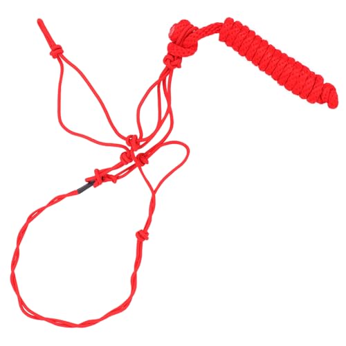 Accessoire pour chevaux haut de gamme avec bride sans mors stable