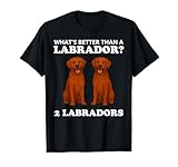Fox Red Labrador Wear