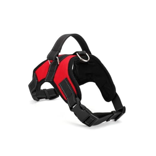 FUTUREORYY ^pϋvIbNXtH[hThXpn[lX KȕsǗ ɂ݌v ԐF