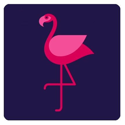 BundleBean - Drawstring Bag - Universal Fit - Great as a PE, Sports, Gym or Swimming Bag - Perfect for Holidays (Navy Flamingo)
