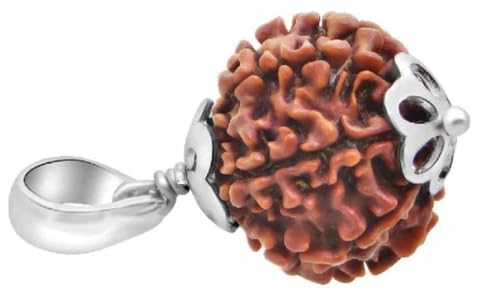SreeGems IGL Lab Test 8 Mukhi Rudraksha Original Pure Tree Beeds Red Thread For Rudraksha Bead 8 Mukhi Rudraksha Nepal Rudraksha Pendant Silver Caping Aath Mukhi Rudraksha for Astrological Purpose-picture-10