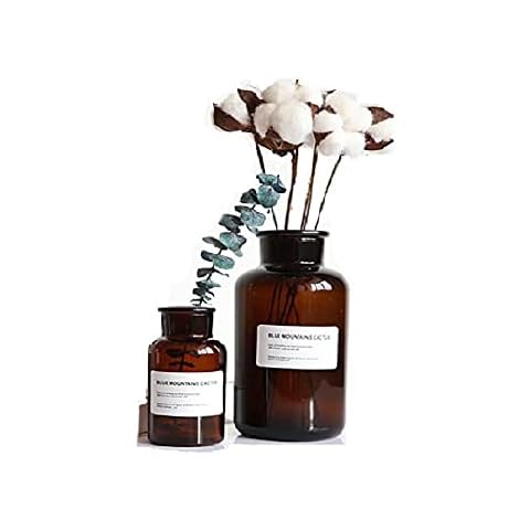 2PCS Glass Bud Vase Set Apothecary Jars Fragrance Bottles Amber Glass Bottles Simulation Vase Vintage Medicine Bottles Mini Flower Vases Centerpiece Wedding Home Bookshelf Table Decor (4OZ+8.5OZ) Cover