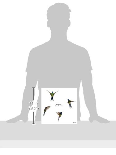 Sanna Kannisto: Fieldwork