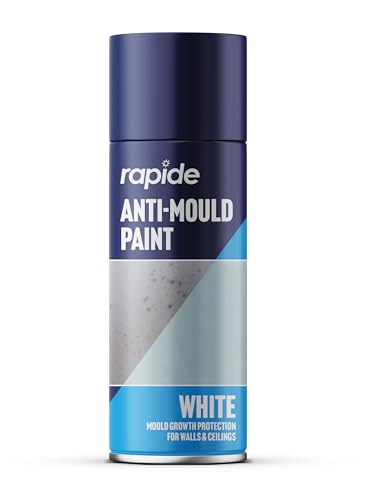 Rapide Anti Mould Spray Paint, 400 ml