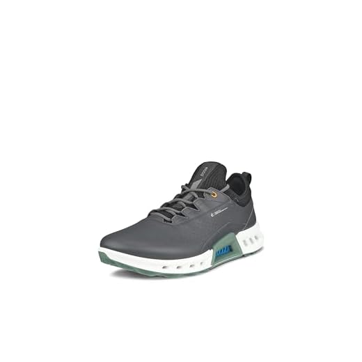 ECCO Men's Gore-TEX Golf Shoe