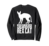 Photo Gallery devon rex - gattino devon rex - devon rex felpa Photo Gallery devon rex - gattino devon rex - devon rex felpa
