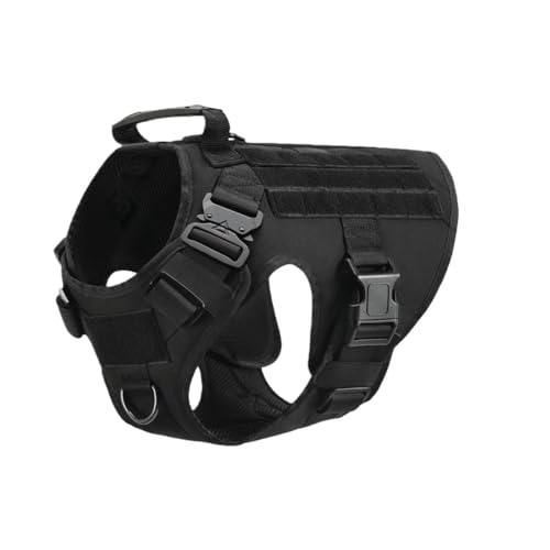 yChopEasez^pm[vn[lX ~^[^NeBJhbOn[lXxXg h[x} uh[ T[rXhbO g[jOpi AEghAybgAX|[cxXg (AubN,S)