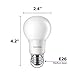 Philips LED High Lumen 100 Watt A19 Frosted Light Bulb Non-Dimmable, 1500 Lumen, Daylight (5000K), 13.5W=100W, E26 Base, 8-Pack