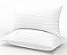 Favocama Pillows 2 Pack Standard Size，Hotel Quality Pillows for Sleeping, Bed Pillows 2 Pack for Back, Stomach or Side Sleepers 20x30 inch