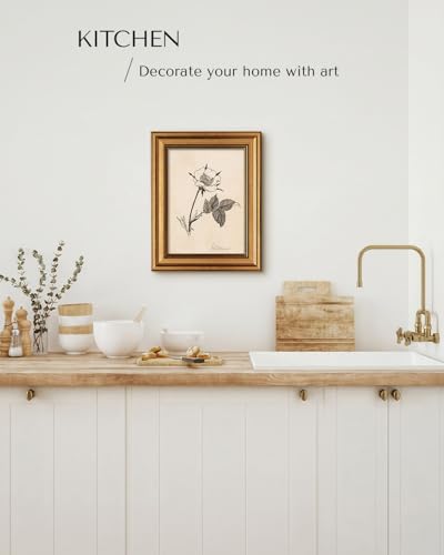 Image of HUARCEY Gold Framed Vintage Wall Art for Living Room, Flowers Painting Prints Shelf Decor for Kitchen, Aesthetic Bedroom Wall Art, Best Gifts for Friends or Family - Dog Rose 10L x 8W