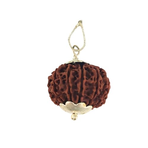 Original Twelve Faced 12 Mukhi Nepali Rudraksha Beads 925 Sterling Silver Pendants for Men Women Spiritual Jewellery